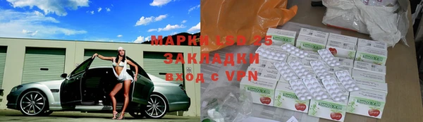 ГАЛЛЮЦИНОГЕННЫЕ ГРИБЫ Аркадак