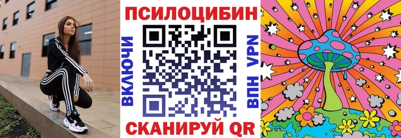 дарнет шоп  Красный Кут  Галлюциногенные грибы ЛСД 